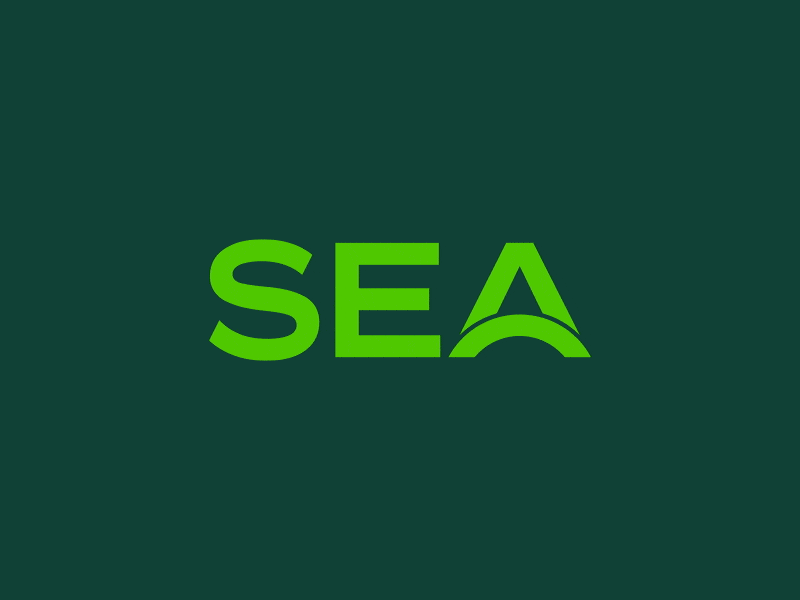 Seattle-Tacoma International Airport logo animation- SEA letters sliding in followed by full name reveal.